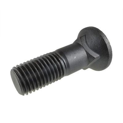 M12 ha coperto con una cupola la testa Bolt
