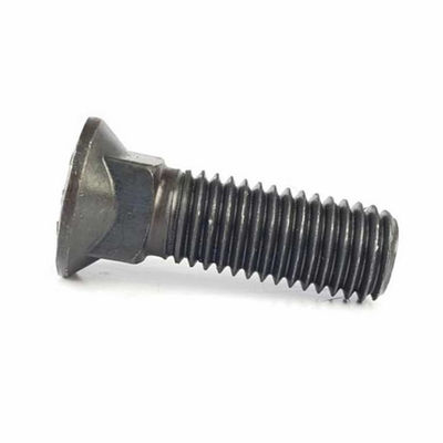 M12 ha coperto con una cupola la testa Bolt